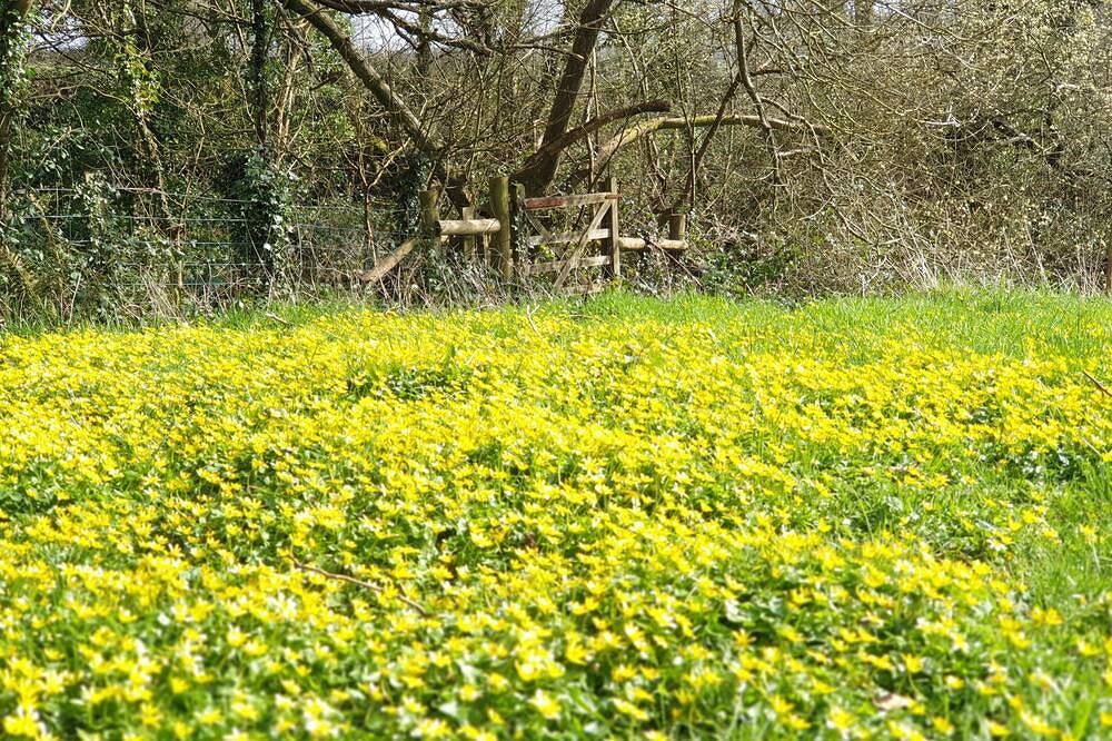 The Bothy nr Tenby: Hottub, 84\"Projector, 4Posterbed in Pembrokeshire