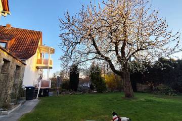 Ferienhaus für 13 Personen, mit Balkon und Sauna sowie Garten, mit Haustier in Werratal