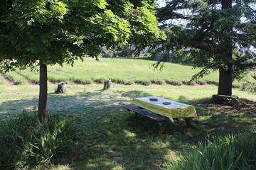 Cottage voor 6 Personen in Cruis, Provence, Afbeelding 1