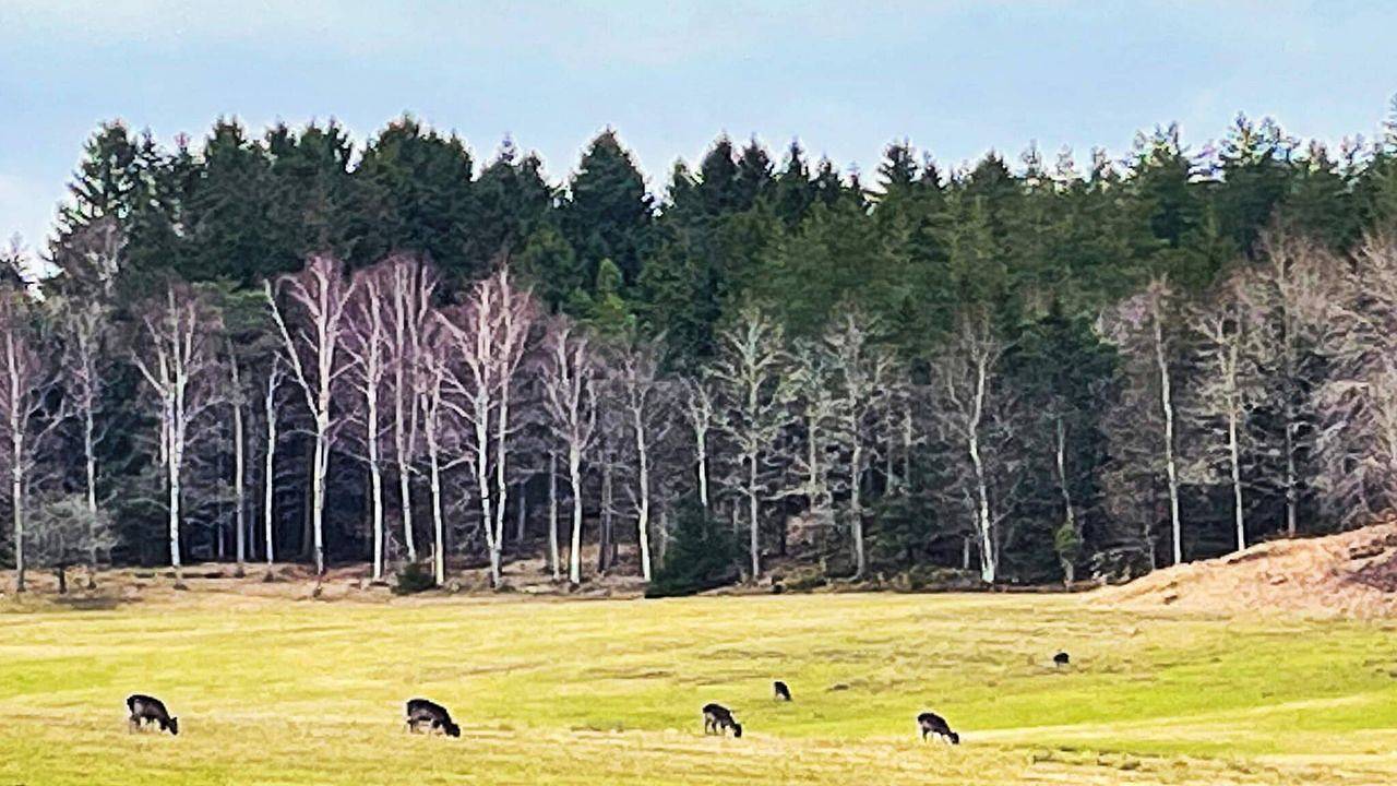 Ferienhaus für 6 Personen (105 m²) in Eckerud in Lilla Edet, Västergötland
