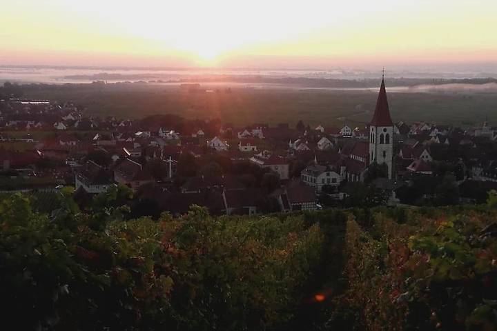 Gîte pour 7 personnes, avec vue et jardin, adapté aux familles à Ammerschwihr - 3