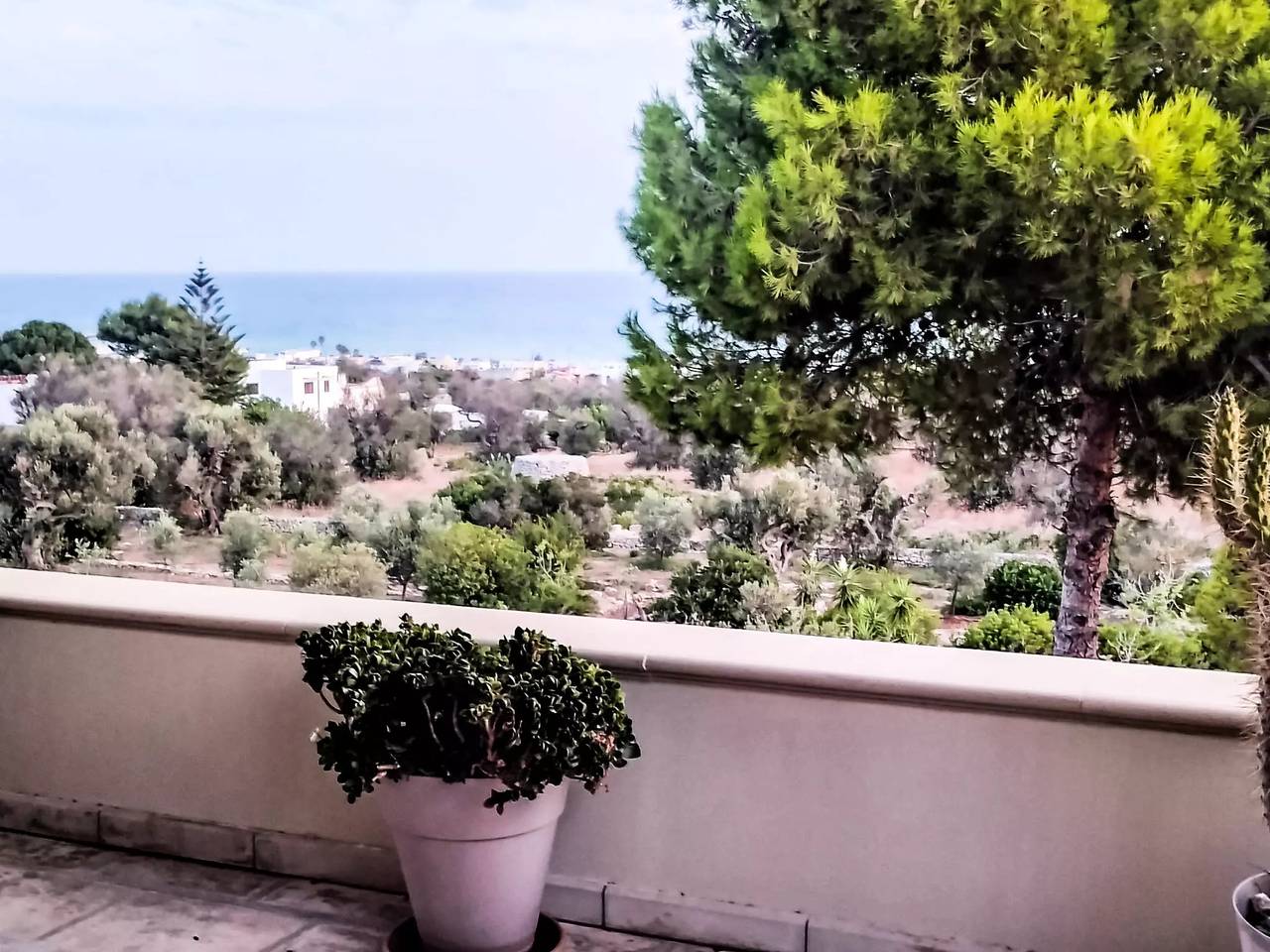 Apartamento entero, 2 Pièces 2 Personnes in Pescoluse, Golfo de Tarento