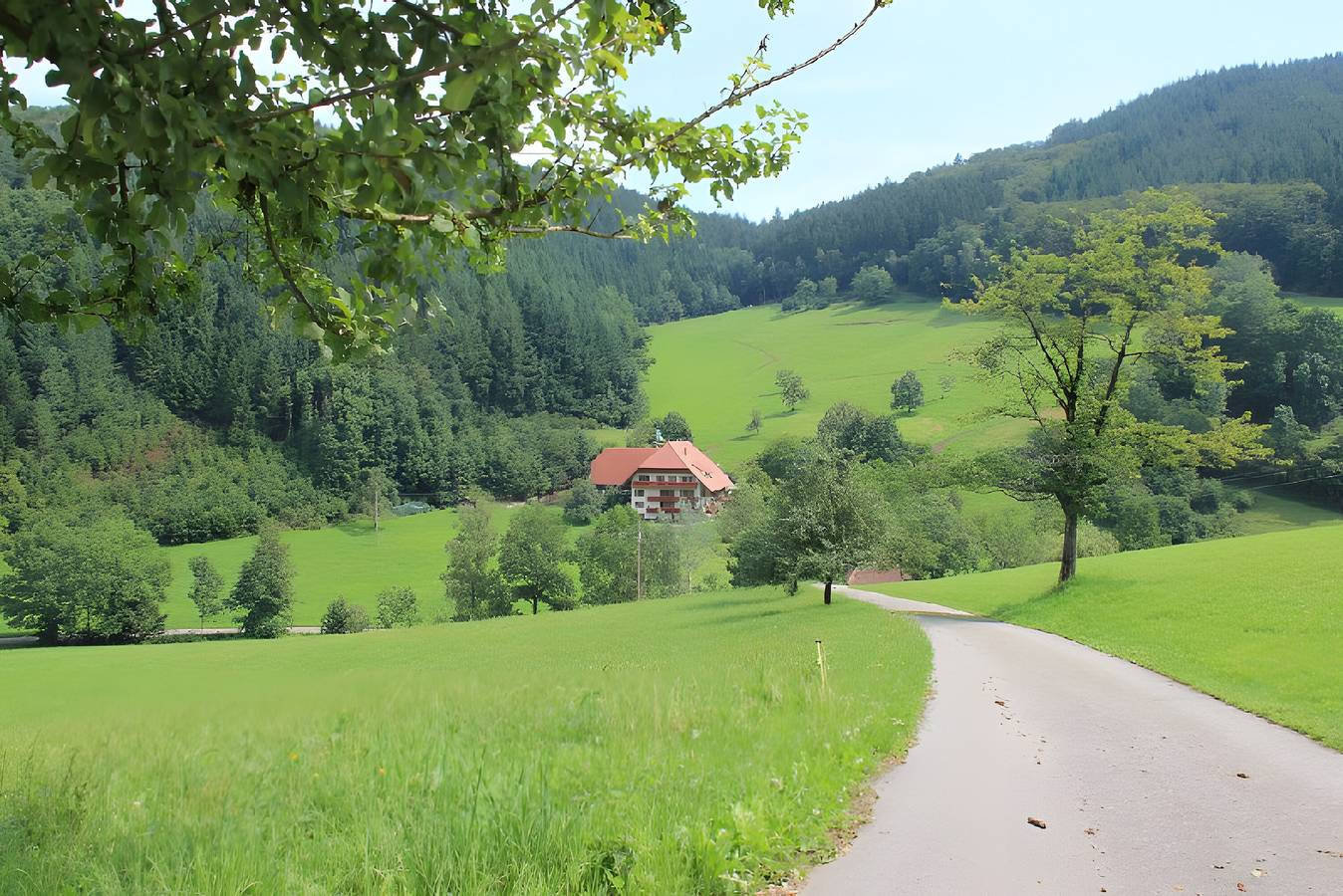 Geigerbauernhof - Ferienwohnung Schwalbennest in Muhlenbach, Foresta Nera centrale