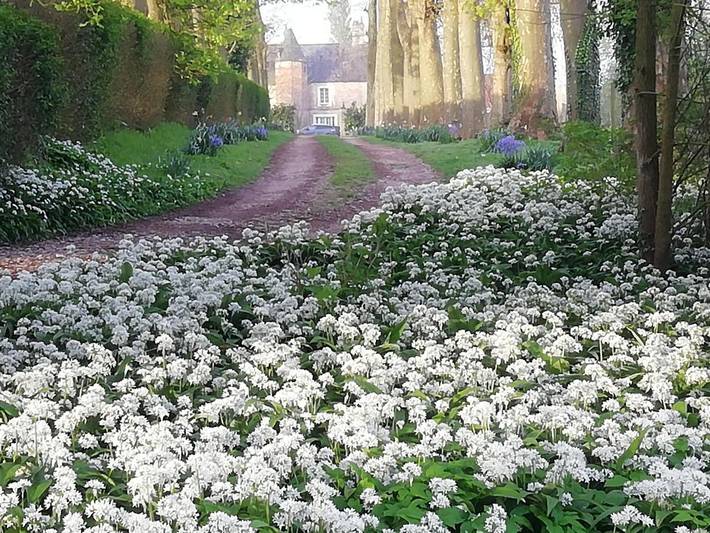Chambre d’hôte pour 3 personnes, avec jardin et vue à Questrecques