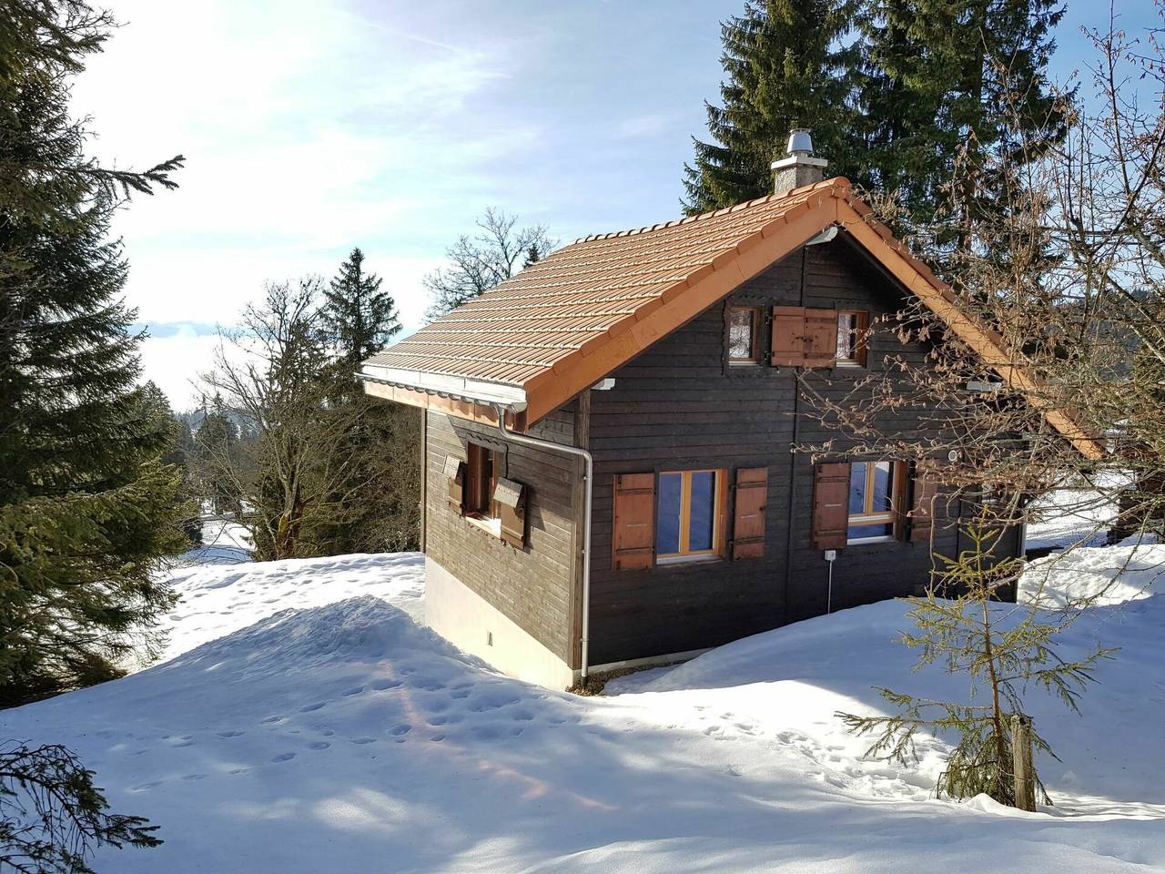 Chalet De La Vue Des Alpes - Chalet De La Vue Des Alpes 100.1 in Val-de-Ruz, Pays des Trois-Lacs