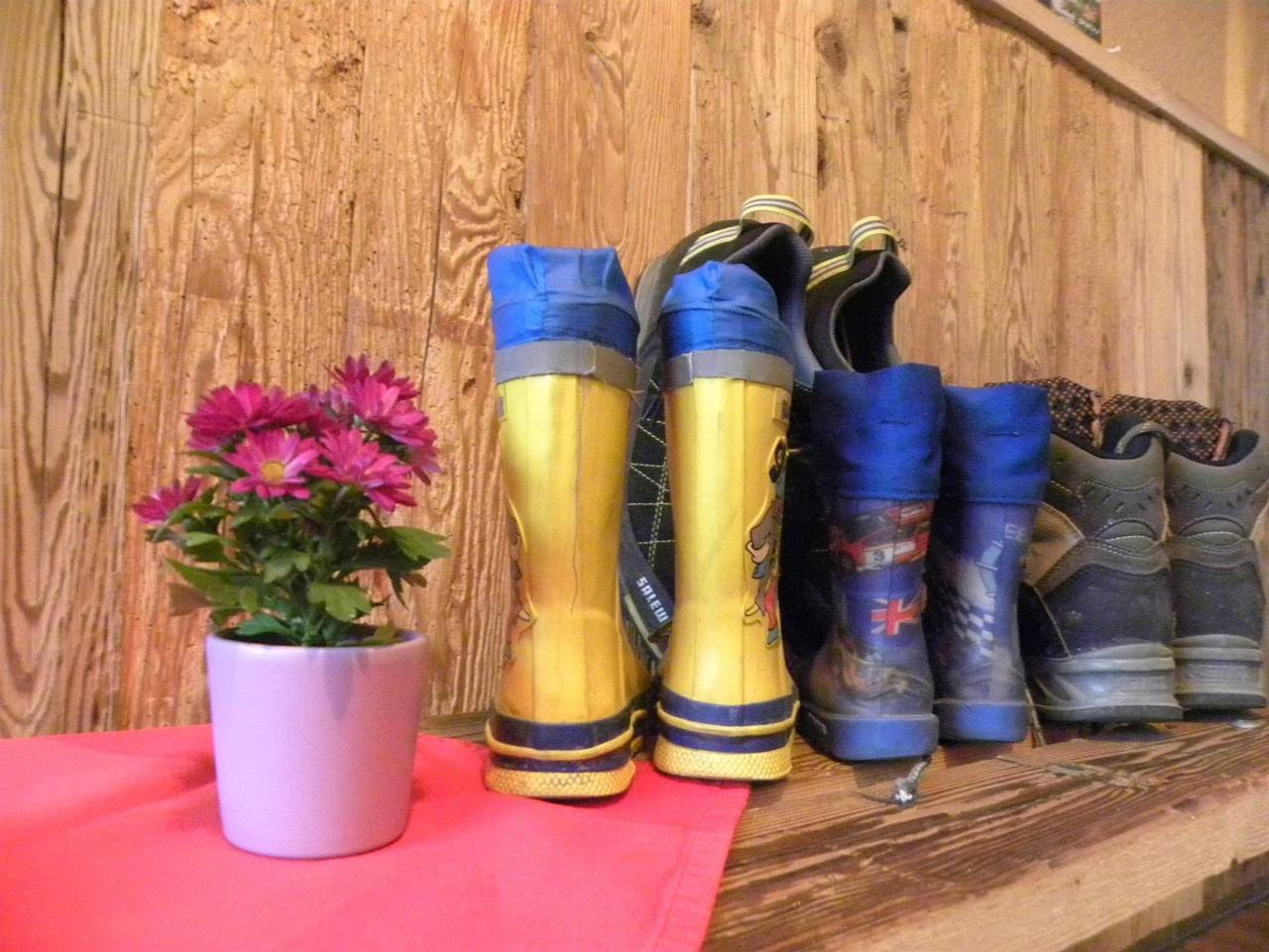 Ganze Ferienwohnung, Haus Strolz - Appartement Braunarl in Schröcken, Bregenzerwald