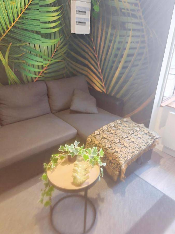 Appartement entier, Bulle tropicale jungle in Clermont-Ferrand, Parc naturel régional des Volcans d'Auvergne