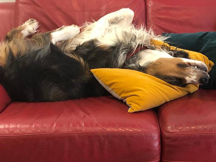 Parc de vacances pour 2 personnes, avec vue et jardin à Ceyzérieu - 3