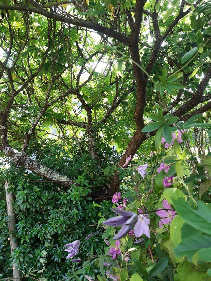 Location de vacances pour 6 personnes, avec jardin à Guémené-Penfao - 4