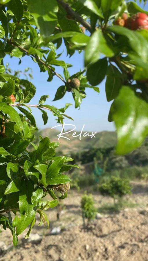 Location de vacances pour 5 personnes, avec jardin et vue à Casteltermini