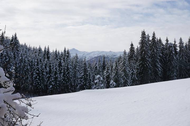 Ferienwohnung für 6 Personen, mit Balkon in Flachau - 4
