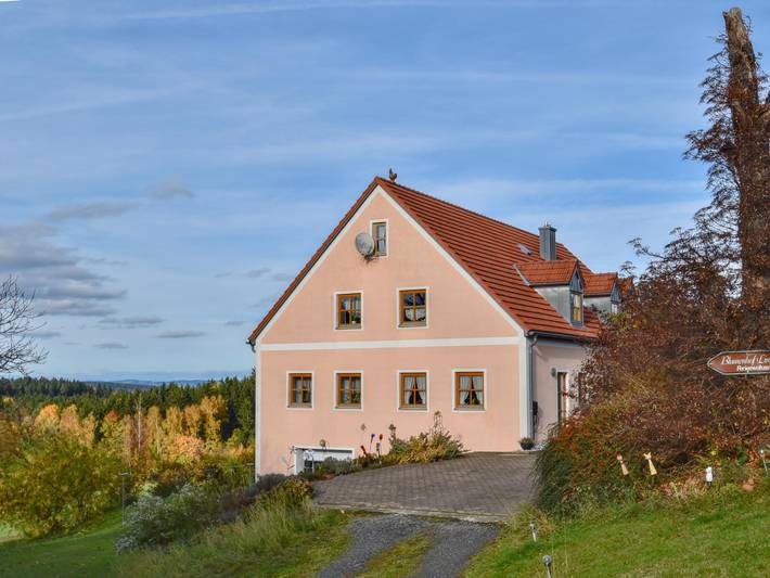 Ferienhaus für 20 Personen, mit Garten und Sauna, mit Haustier in Naturpark Oberpfälzer Wald