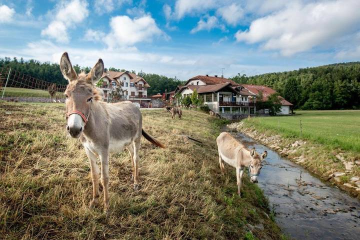 Ferienhaus für 10 Personen, mit Balkon und Terrasse sowie Garten und Sauna