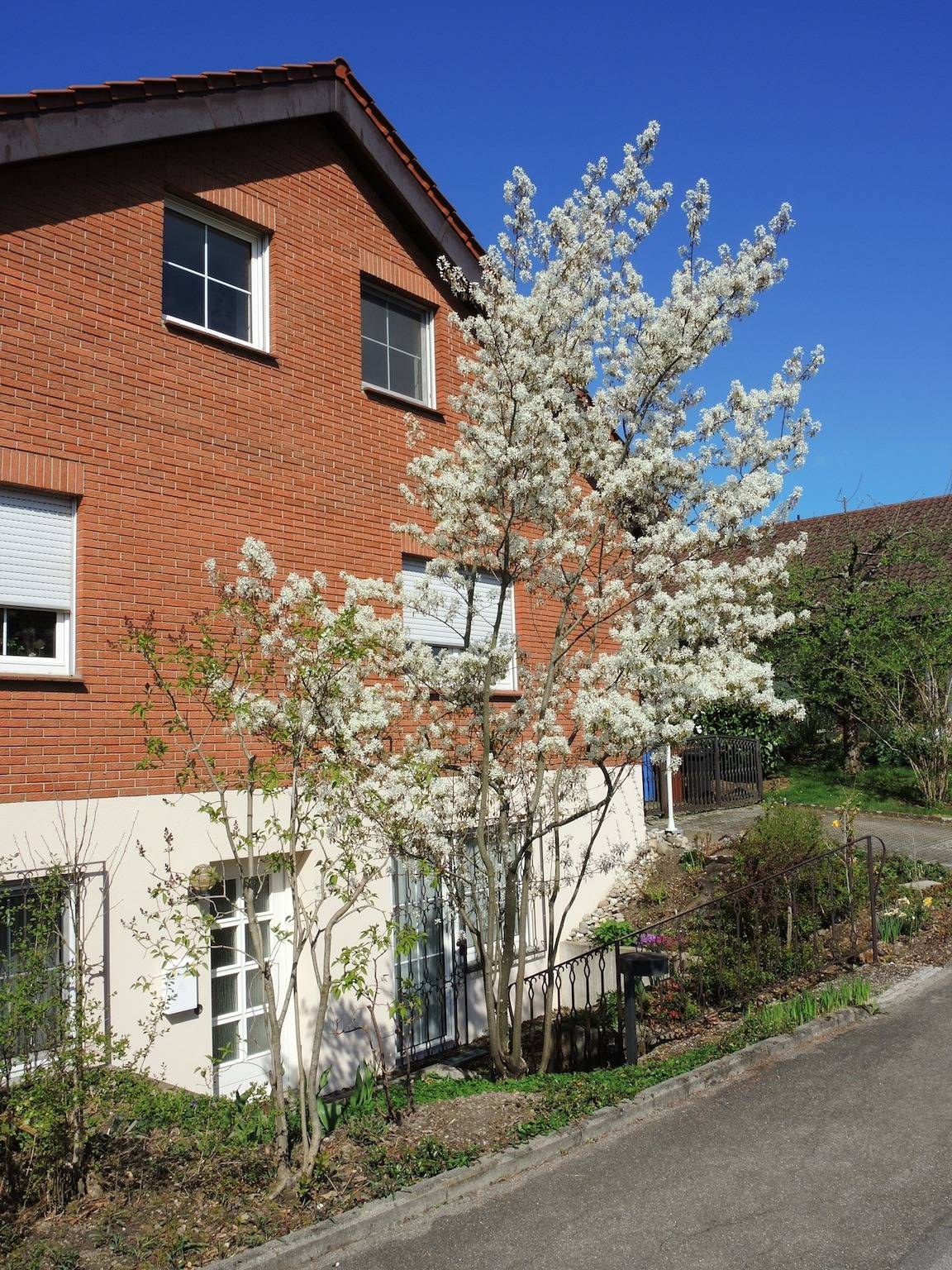 Ganze Ferienwohnung, Ferienwohnung Christine Sprenger - 2-Zimmer-Fewo, Souterrain, 52 m² in Radolfzell am Bodensee, Landkreis Konstanz
