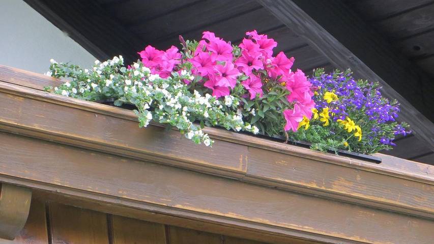 Ferienwohnung für 2 Personen, mit Garten in Hopferau - 4