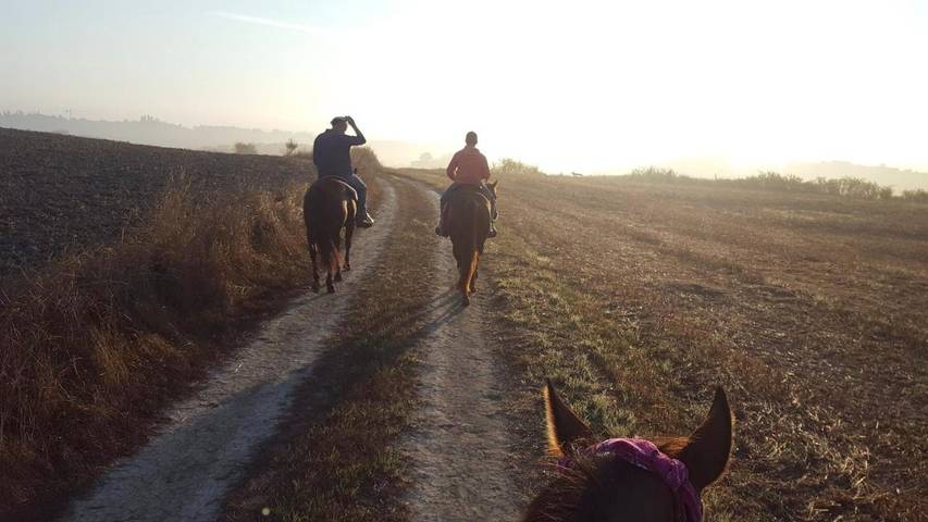 Chambre d’hôte pour 2 personnes, avec jardin et vue à Sienne