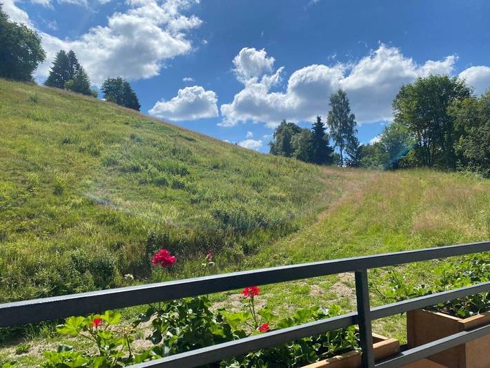 Hütte für 8 Personen, mit Balkon im Sauerland - 3