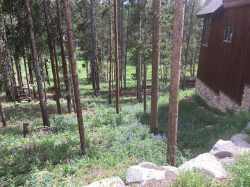 Vacation House for 10 Guests in Fraser, Arapaho National Forest, Picture 4