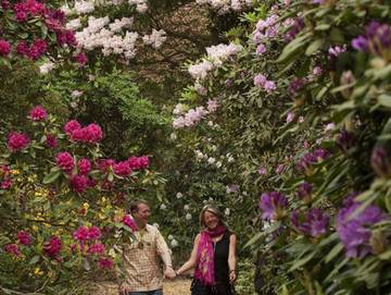 Ferienwohnung für 5 Personen in Westerstede, Ammerland, Bild 3