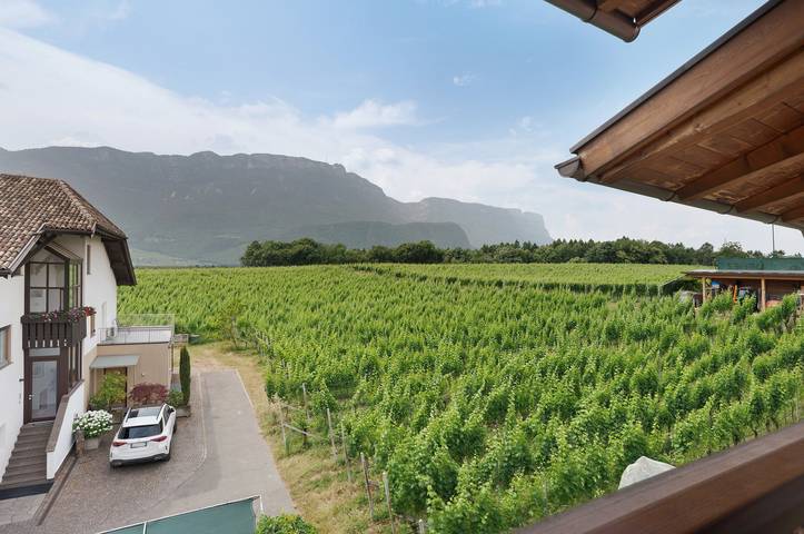 Appartement entier, Appartement "Naturblick" avec vue sur les montagnes, Wi-Fi et climatisation in Monticolo, Appiano sulla Strada del Vino