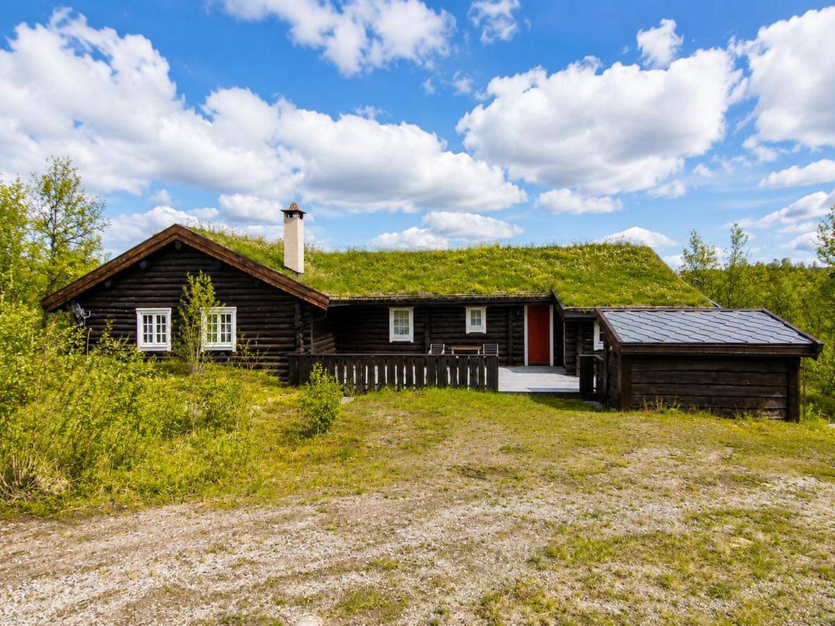 Large, cozy, and spacious cabin in Geilo, Kikut in Geilo, Hol