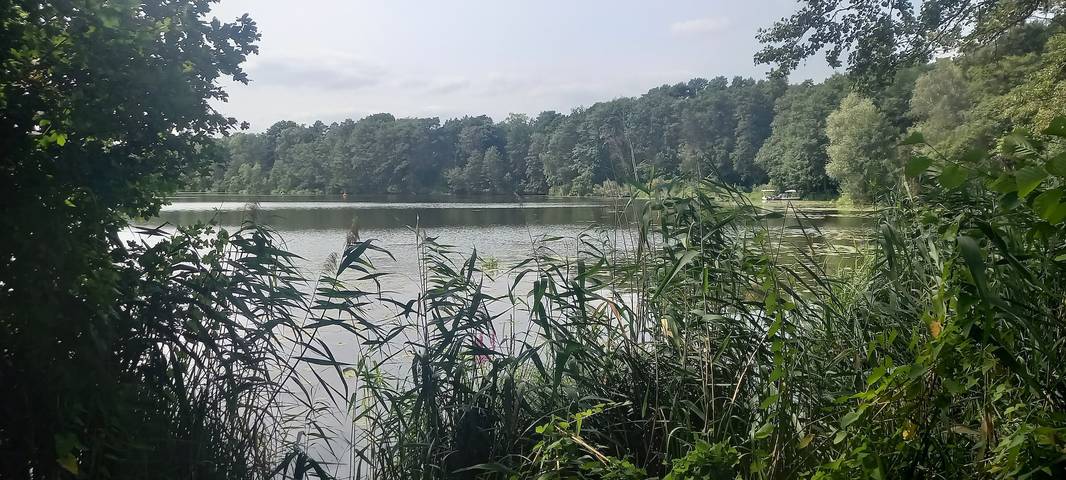 Ferienhaus für 4 Personen, mit Seeblick und Garten in Europa - 3