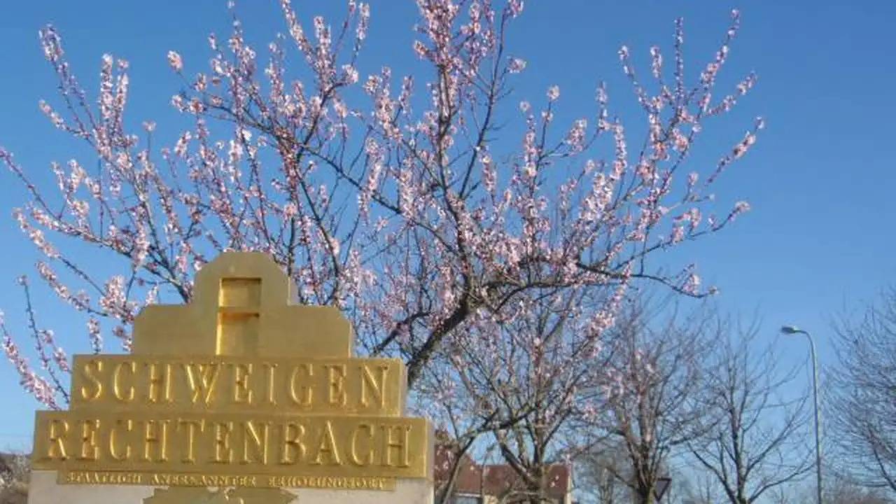 Apartamento vacacional entero, Ferienwohnung für 2 Personen (76 m²) in Schweigen-Rechtenbach in Schweigen-Rechtenbach, Südliche Weinstraße