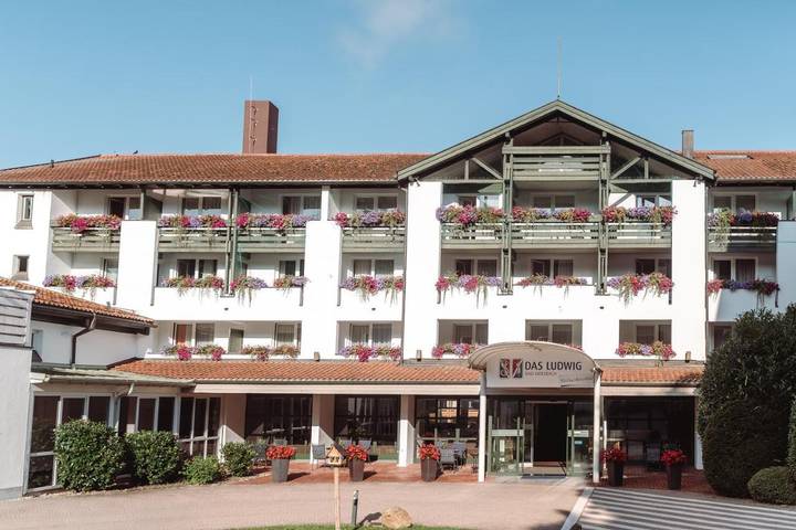 Hôtel pour 3 personnes, avec jardin et jacuzzi ainsi que piscine et sauna, animaux acceptés