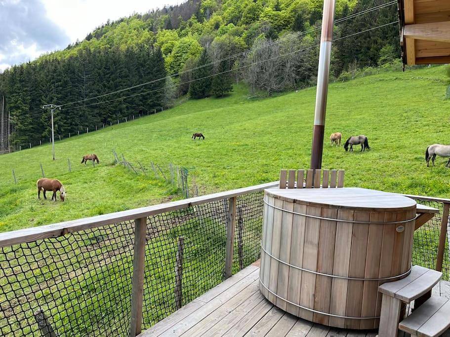 One-Bedroom Chalet in La Pesse, Parc naturel régional du Haut-Jura