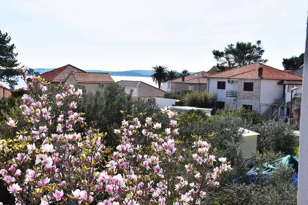 Ganze Ferienwohnung, Ferienwohnung Mit Meerblick und Terasse  in Orebic, Peljesac