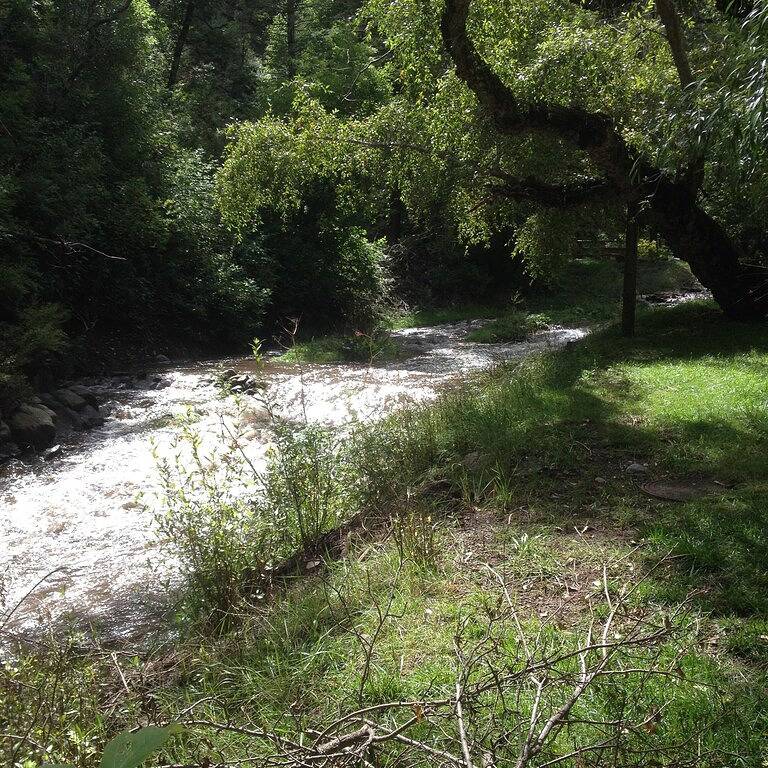 Entspannen Sie sich bei unserem River Front Cabin im historischen Upper Canyon in Ruidoso, Ski Apache