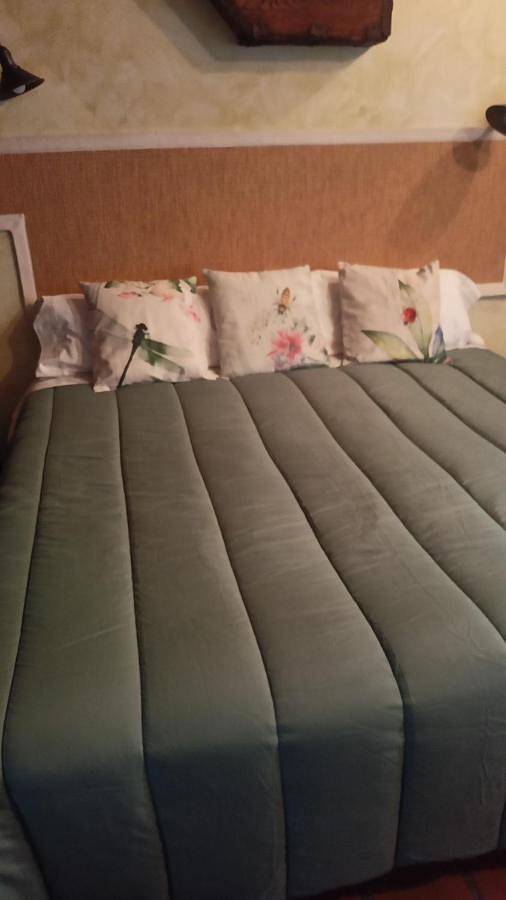 Casa rural para 2 personas, con jardín y vistas, Se admiten mascotas en Provincia de Valladolid - 2