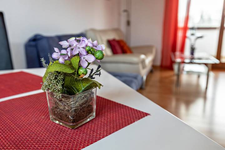 Ferienwohnung für 2 Personen, mit Seeblick und Balkon, mit Haustier in Baden-Württemberg - 2