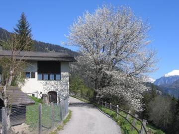 Ferienhaus für 8 Personen, mit Terrasse und Garten, mit Haustier in Graubünden