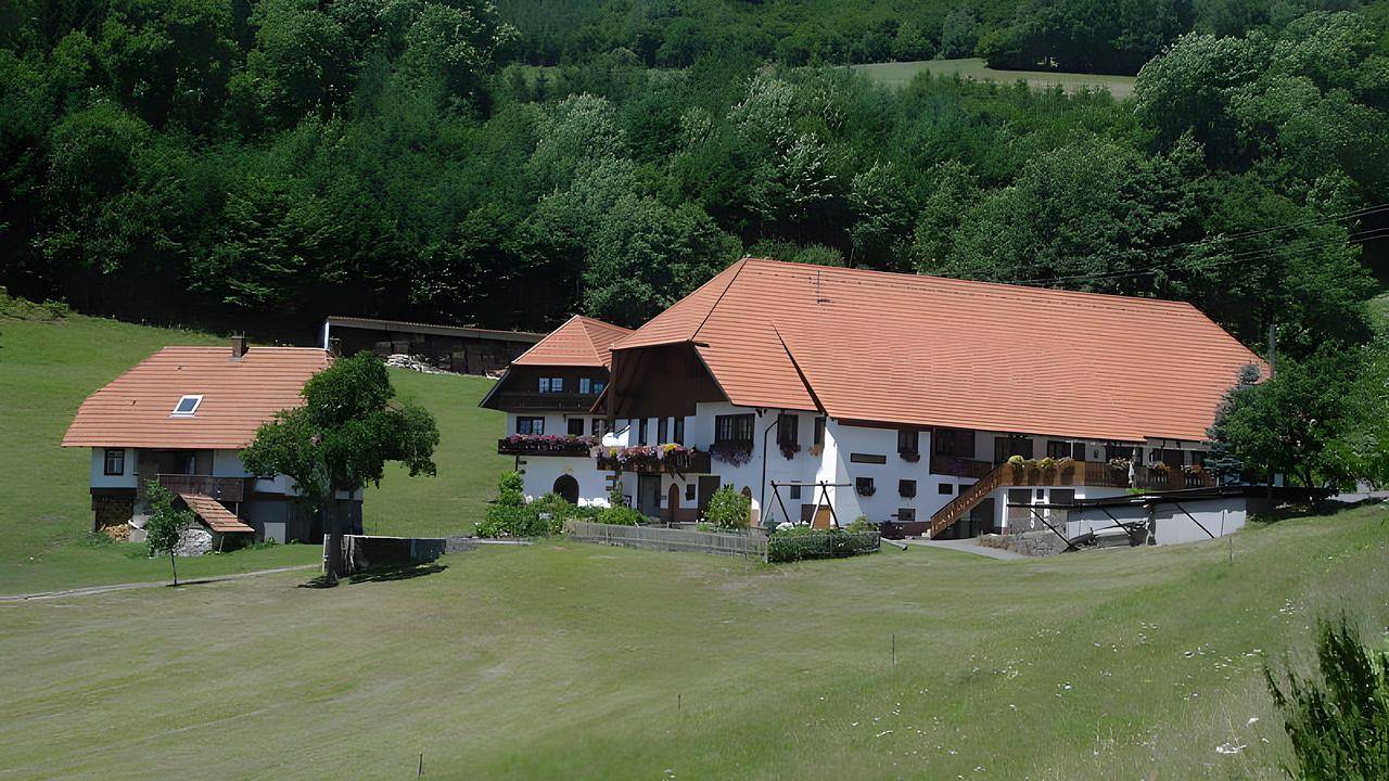 Ganze Ferienwohnung, Ferienwohnung für 4 Personen (65 m²) in Hausach in Hausach, Mittlerer Schwarzwald