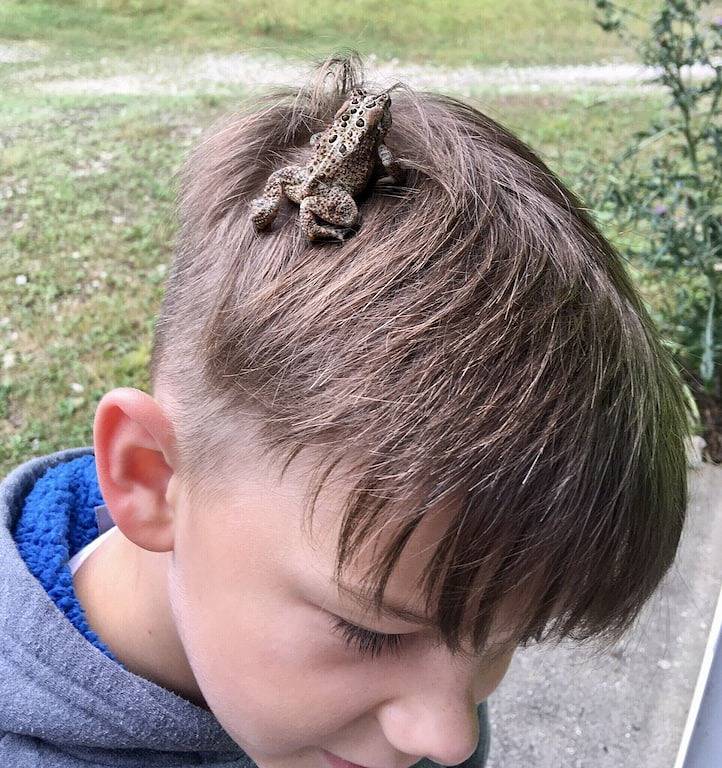 Eulenhaus or Owlhouse - Fall colors coming in Mackinac County