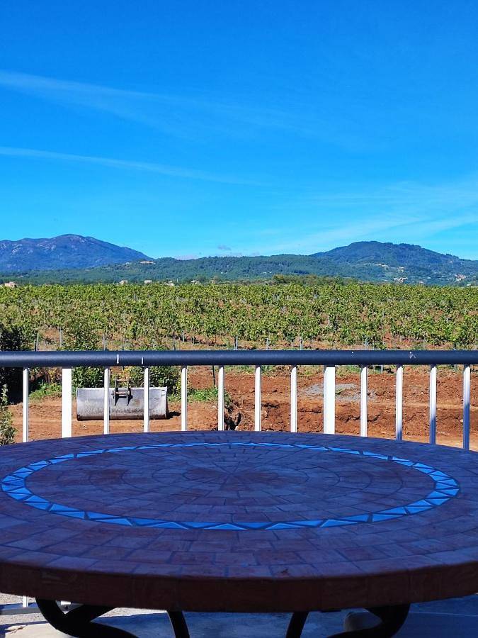 Location de vacances pour 2 personnes, avec jardin et terrasse ainsi que piscine et vue à Vinezac - 4
