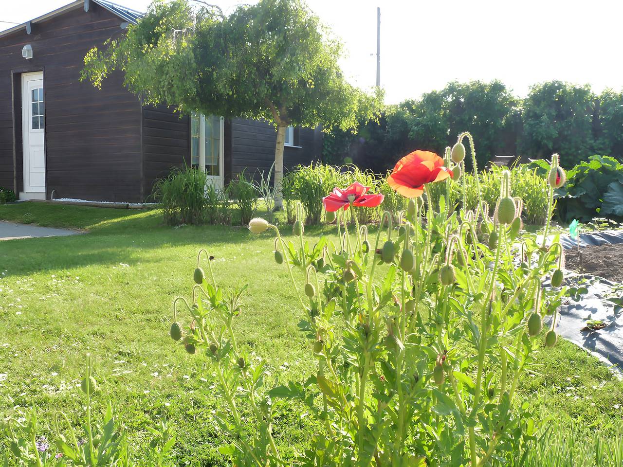 Ganzes Studio, Gemütliches kleines Ferienhaus „L'abri côtier“ nahe Fécamp und Étretat in Saint-Léonard, Le Havre und Umgebung