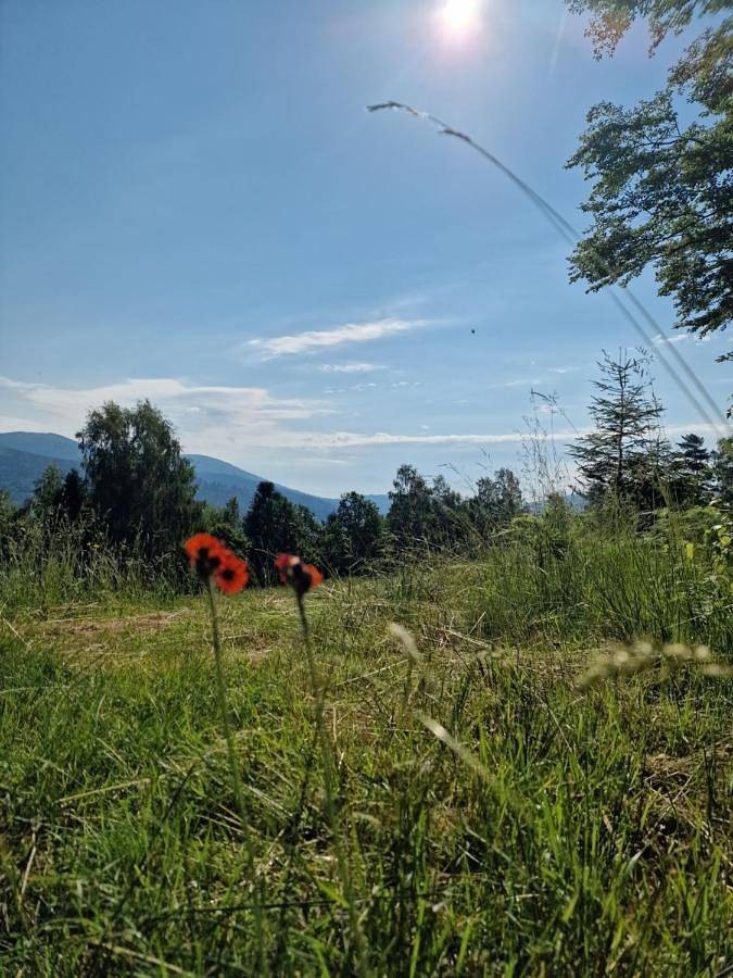 Cały apartament, Apartament Buczyna in Brenna, Karpaty (Polska)