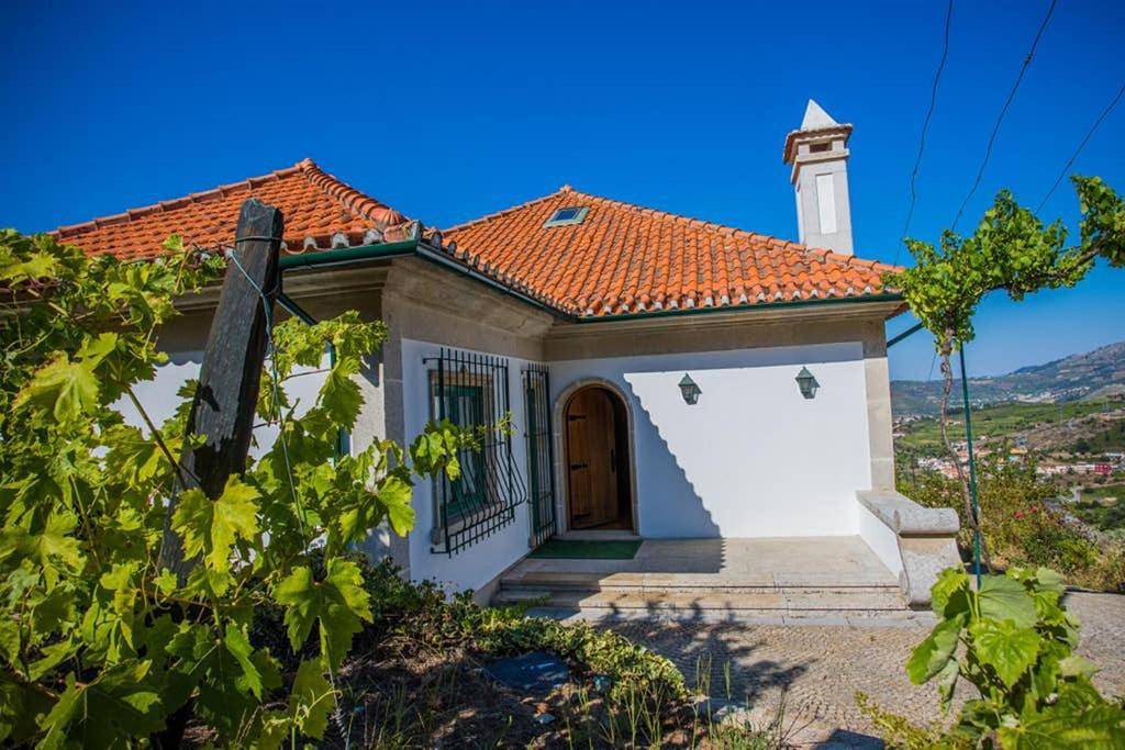 Villa in Lamego, Vale do Douro