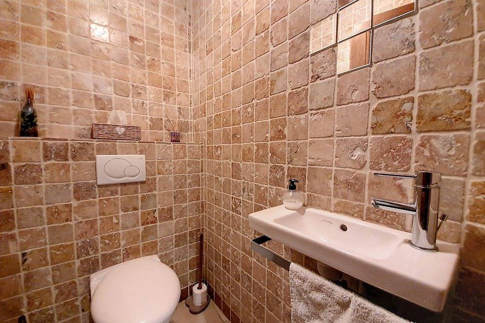 Entire apartment, Apartment with terrace and private garden at the foot of the 3 Valleys in Moûtiers, Les Trois Vallées