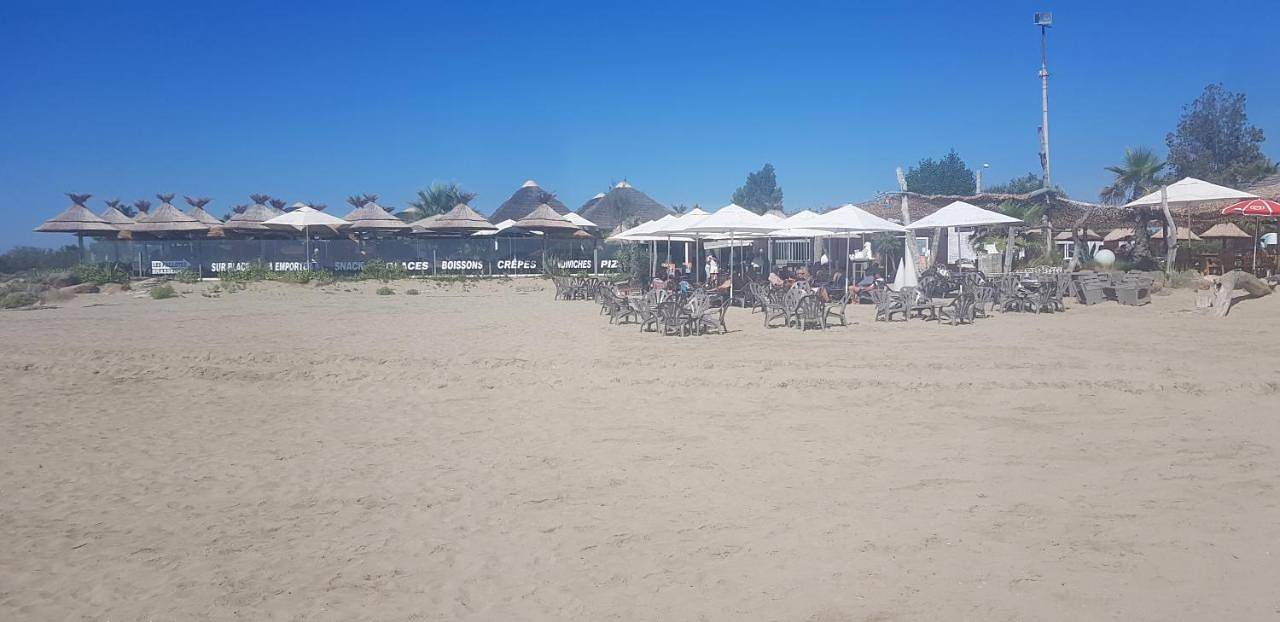 Anthony in Agde, Côte méditerranéenne (France)