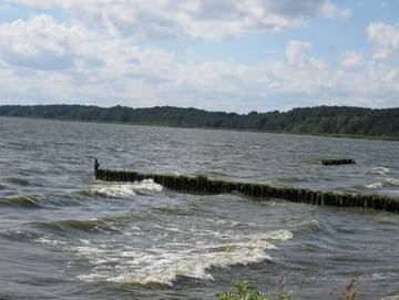 Hütte für 2 Personen in Kamminke, Usedom, Bild 4