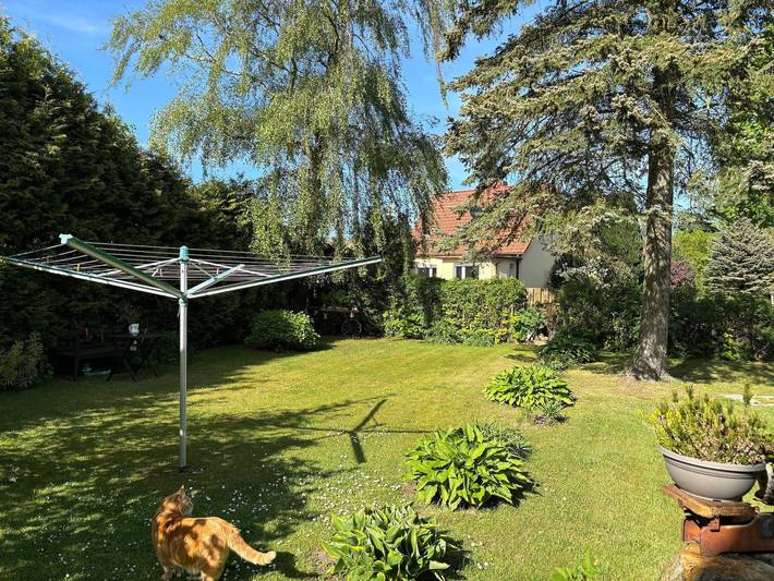 Ferienwohnung für 4 Personen, mit Garten und Terrasse, kinderfreundlich in Mölschow - 3