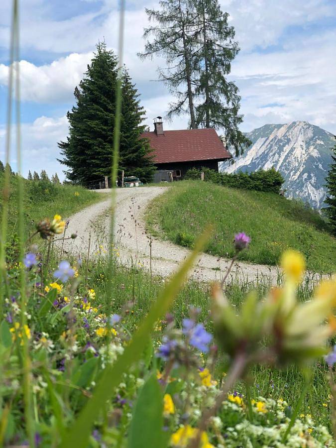 Jagdhütte Gammeringalm in Spital am Pyhrn, Kirchdorf an der Krems (Bezirk)