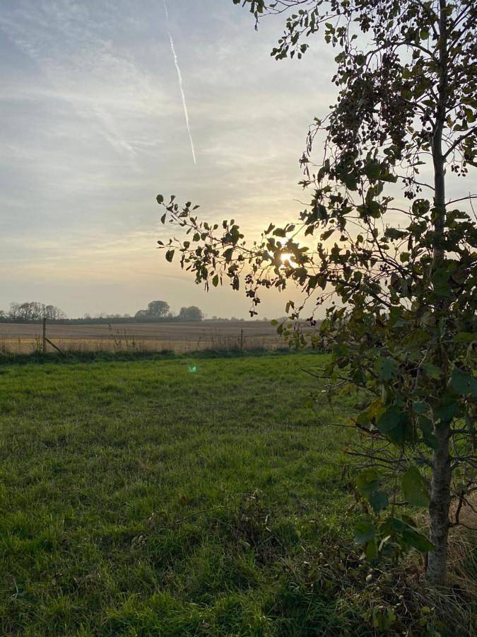 Gîte pour 2 personnes, avec vue sur le lac et jardin à Roskilde - 2