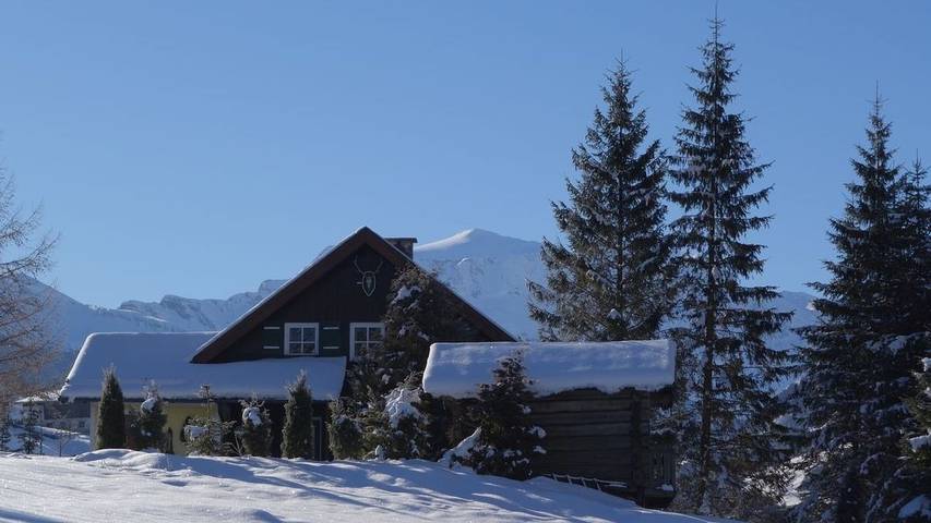 Ferienhaus für 6 Personen, mit Garten in Rauris - 3