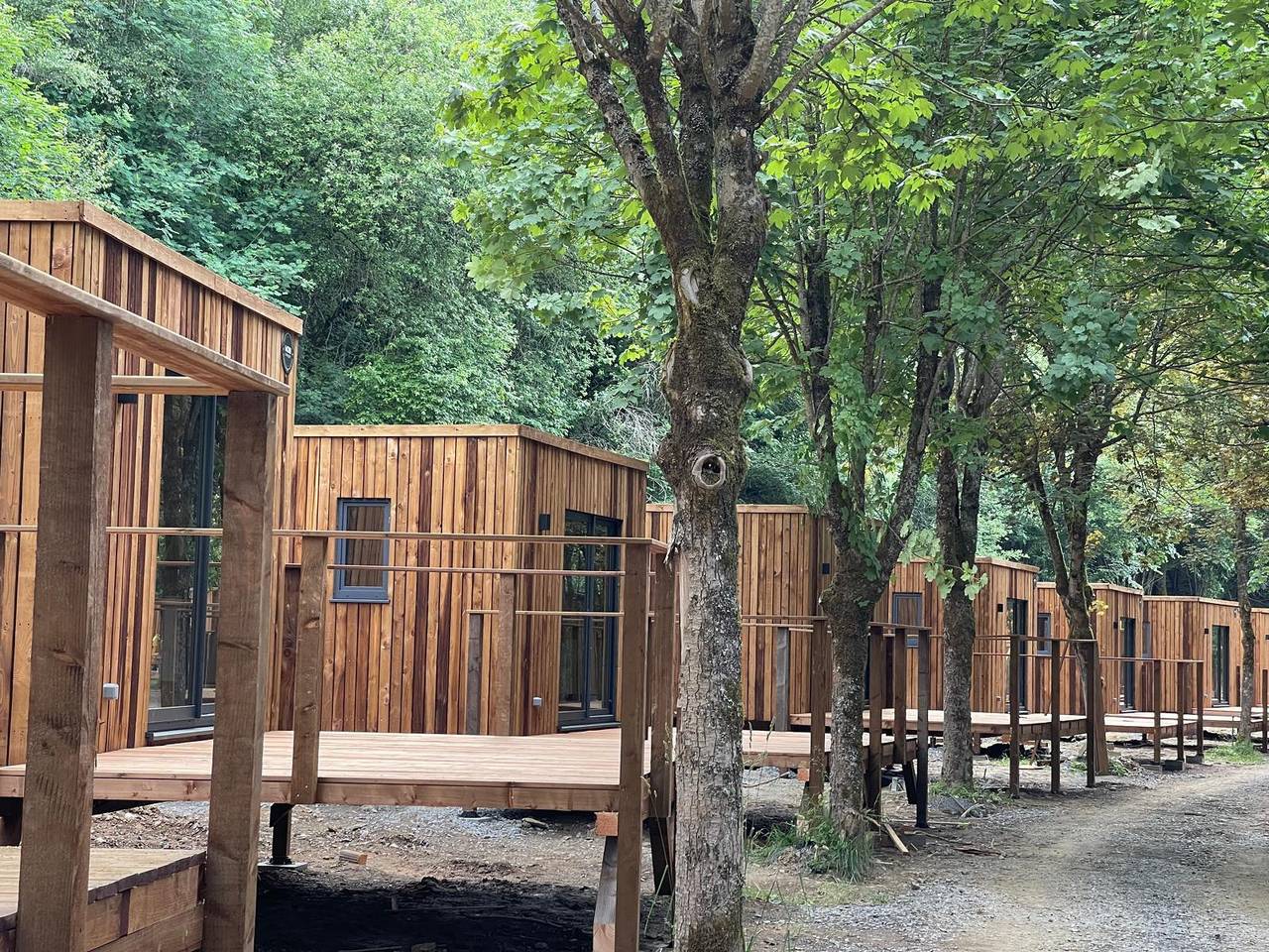 Lodge für 4 Personen mit Balkon/Terrasse in Enschede, Twente