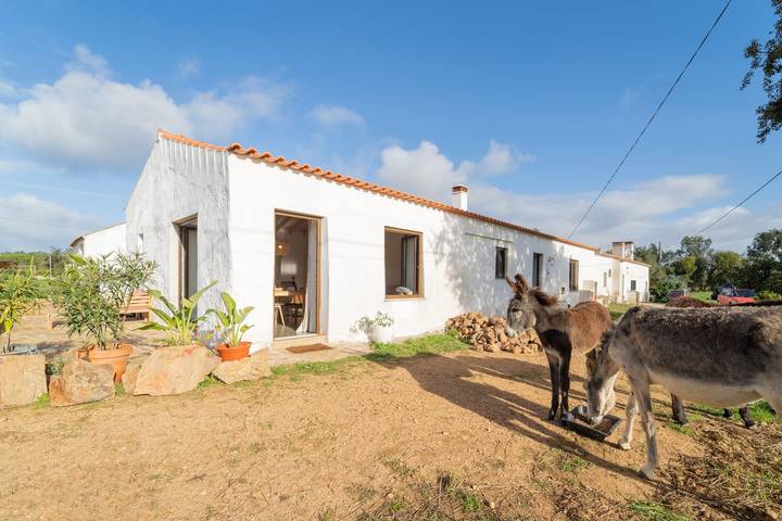 Studio für 4 Personen, mit Terrasse in Aljezur - 2