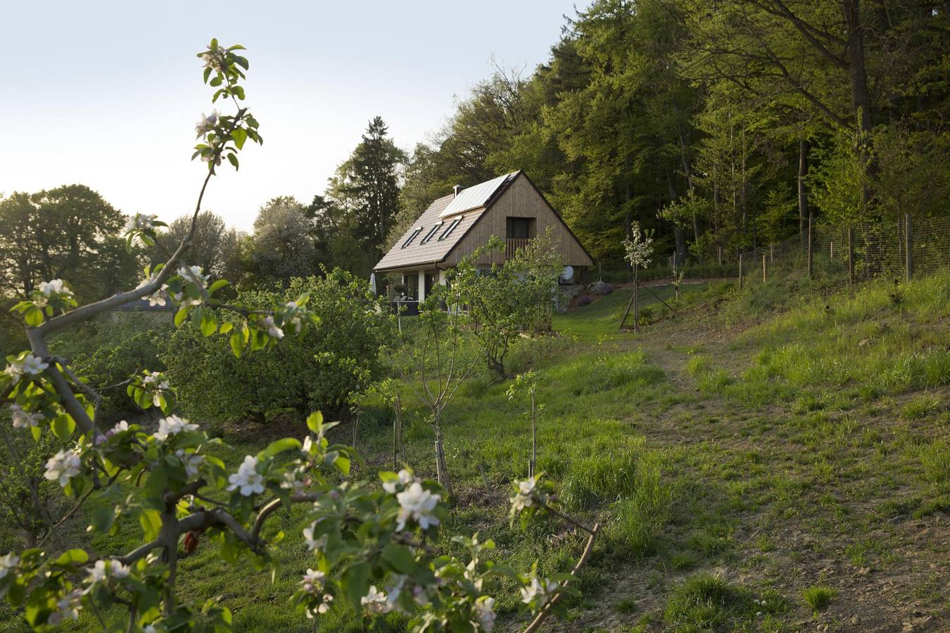 Ferienhaus Refugium am Wald in Südoststeiermark, Feldbach